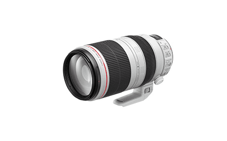 EF 100-400mm F4.5-5.6L